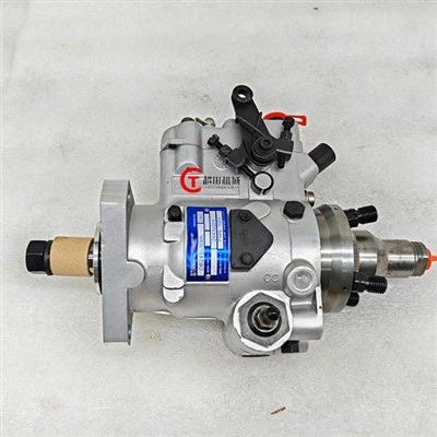 DB2435-5065 2643U204 101-3876 1013876 Injection Pump for 3054 Engine